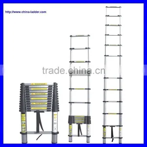 Telescopic Ladder thumbnail-1