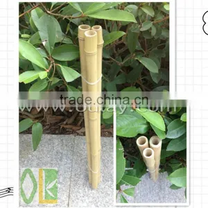 Decoration Short Tonkin Bamboo Cane/pole thumbnail-1