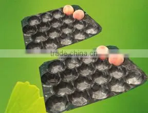 Blue Color Disposable Plastic Fruit Tray thumbnail-4
