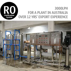 3TPH Australia Ordered Commercial RO Water Reverse Osmosis System thumbnail-1