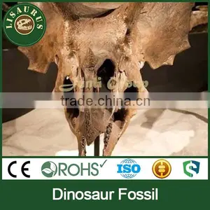 Lisaurus-0047 Buried Discovery Science Dinopark Dinosaurs Fossils Replica thumbnail-1