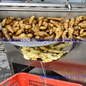 Industrial Potato/Ginger/Sweet Potato/Carrot Washer Peeler thumbnail-4