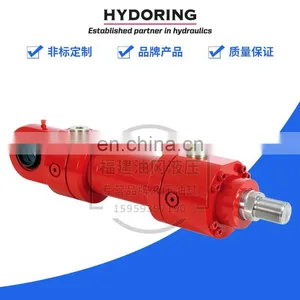 Germany HYDORING Cylinder HHD6510PK63/36-215-a+b-100 Servo Cylinder With Valve thumbnail-4