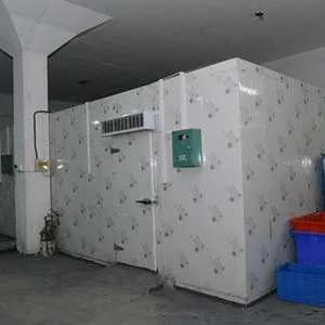 Refrigerator, Freezer, Walk-in Refrigerator thumbnail-1