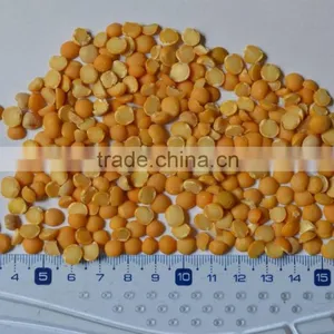 Yellow Peas thumbnail-1