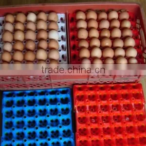 LSF208 Plastic Egg Box Making Machine thumbnail-3
