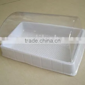 Blister Plastic Packaging for Cake,OEM Design thumbnail-1
