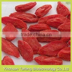 no Pesticide Goji Fruit thumbnail-2