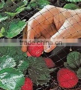 Square Mesh Bird Netting thumbnail-3