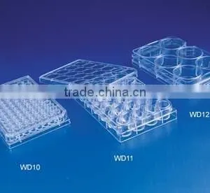 Culture Plate thumbnail-2