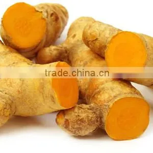 FRESH TURMETIC WITH BEST PRICE AND GOOD QUALITY thumbnail-2