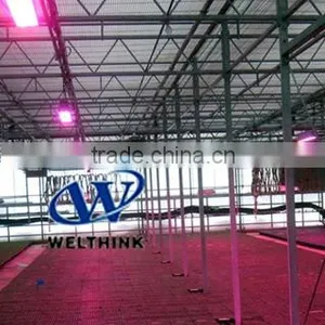 Led Grow Lamp.90W,100W,150W,200W,300W. thumbnail-1