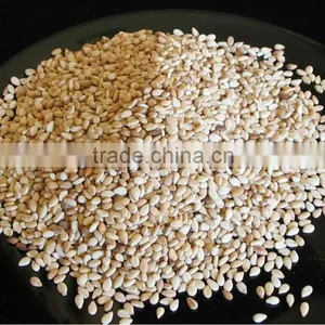 SESAME SEEDS WHITE thumbnail-1