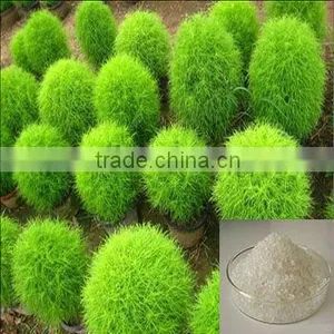 High Absorbency Sap Water Retaining Gel for Horticulture thumbnail-1