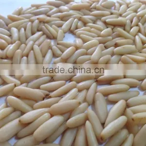 Best Natural Pine Nuts Best Cleaned Grade AAA thumbnail-1