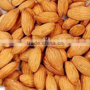 Supercritical Fluid Extraction Sweet Almond Oil thumbnail-2