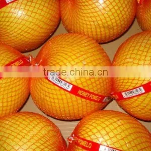Fresh Grapefruit thumbnail-1