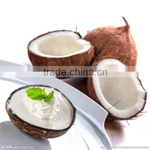 Instant Coconut Cream Powder thumbnail-1