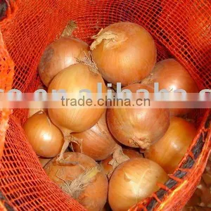 Fresh Yellow Onion thumbnail-1