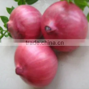 Red Onions Fresh Onions thumbnail-1