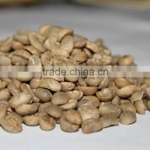 Wholesale Good Quality Yunnan Green Coffee Beans thumbnail-2
