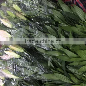 Fresh Cut Flowers Lily Flowers thumbnail-2
