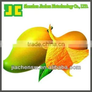 African Mango Fruit Extract Powder for Losing Weight thumbnail-1
