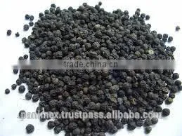 Black Pepper thumbnail-1