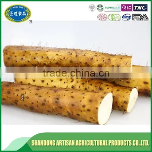 Wild Yam Extract,bulk Yam thumbnail-1