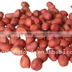 New Crop Chinese Red Skin Peanut Kernels thumbnail-1