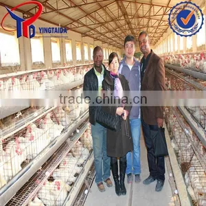 Closed Broiler Chicken Farm thumbnail-6
