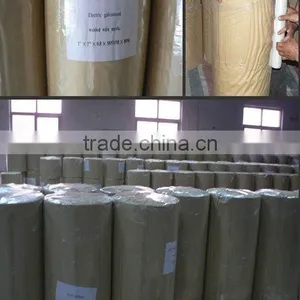 Welded Wire Mesh/ Galvanized Welded Wire Mesh Cheap thumbnail-3