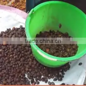 Save Strength Machine for Peeling Apricot thumbnail-1