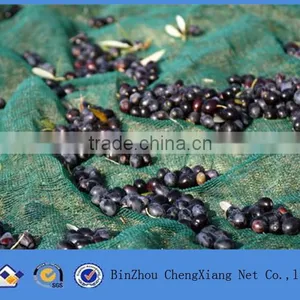 Green Net for Olive Harvesting thumbnail-2