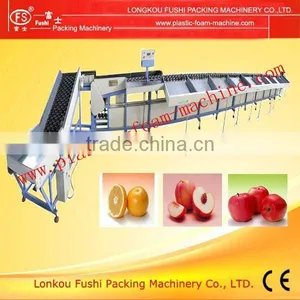 Hot Selling Apple Sorting Machine thumbnail-1