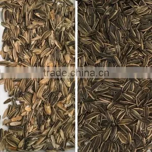 Most Popular Ccd Color Sorter Machine With Factory Price thumbnail-3