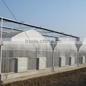 Cheap 30 x 100 Greenhouse thumbnail-4