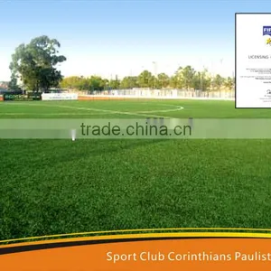 Artificial Turf Project in South America thumbnail-1