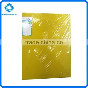 80 Paper Plastic File Copies Folder With Flap thumbnail-3