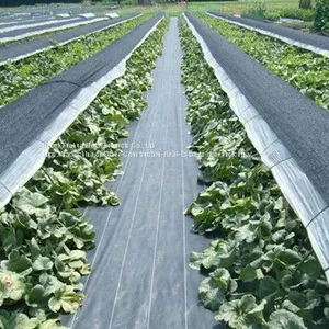 Ground Cover Cloth thumbnail-1
