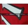 2010-NHL-Size 48-54-> #11 Alfredsson Ottawa Senators Red NHL Jersey thumbnail-1