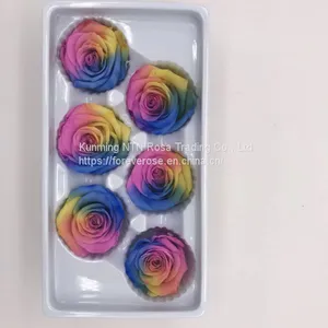 Preserved Rose Preserved Flowers Dried Flowers Birthday Valentine Party Wedding thumbnail-5