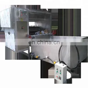 Halal Automatic Customized Cattle Cow Slaughtering Line Equipment Machine thumbnail-1