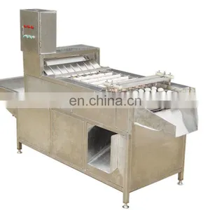 Automatic Exported Type Boiled Quail Egg Shell Removal Machine With Factory Price for Sale thumbnail-6