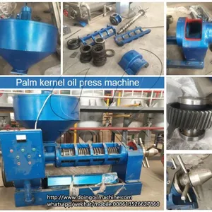 High Quality Small Scale Palm Kernel Oil Processing Plant With Kernel Shell Separator Machine thumbnail-3