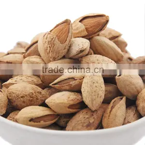 Roasted Almond Salted thumbnail-1