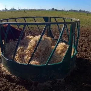 Round Type Assembled Steel Feeder Cattle Hay Saver Large Oval Horse Cow Hay Ring Feeder thumbnail-6