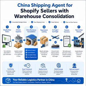 China Shipping Agent for Shopify Sellers With Warehouse Consolidation thumbnail-1