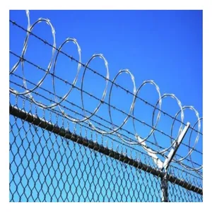 BTO-10 700mm Coil Diameter, 72 Rings, High-Quality Hot-Dip Galvanized Razor Wire Mesh thumbnail-2