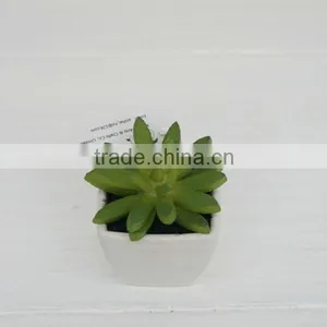 Mini Potted Artificial Plants Succulent Plants for Indoor Decoration thumbnail-1